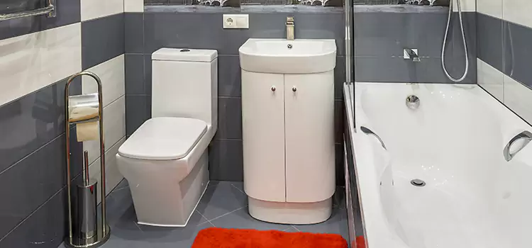 Hansgrohe Shaving Mirror Dale City